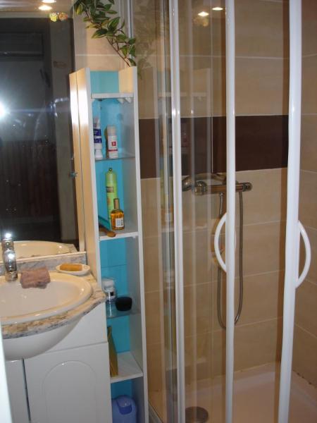 salle de bains avec grande douche